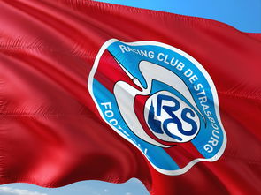 开云体育app-帕尔梅拉斯多线作战阵容调整，保证体能充沛