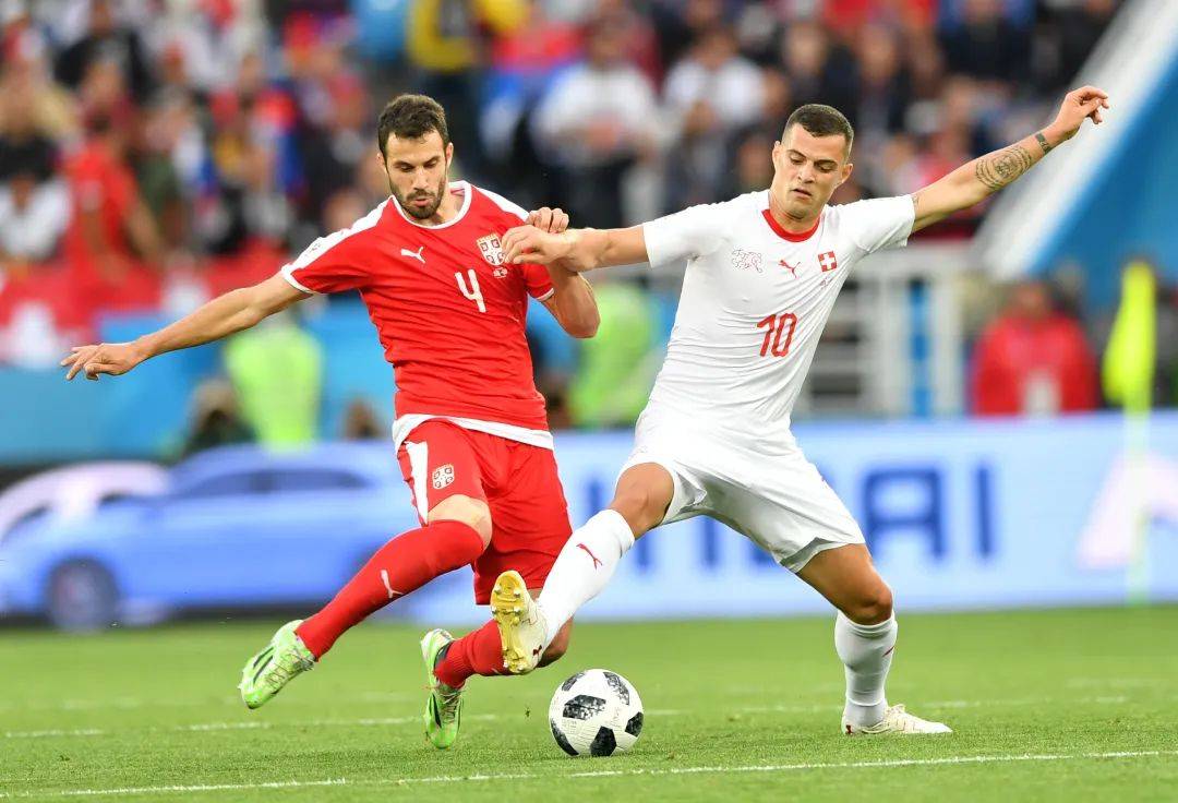 开云体育官网-塞尔维亚队险胜晋级，向欧国联半决赛进发的简单介绍