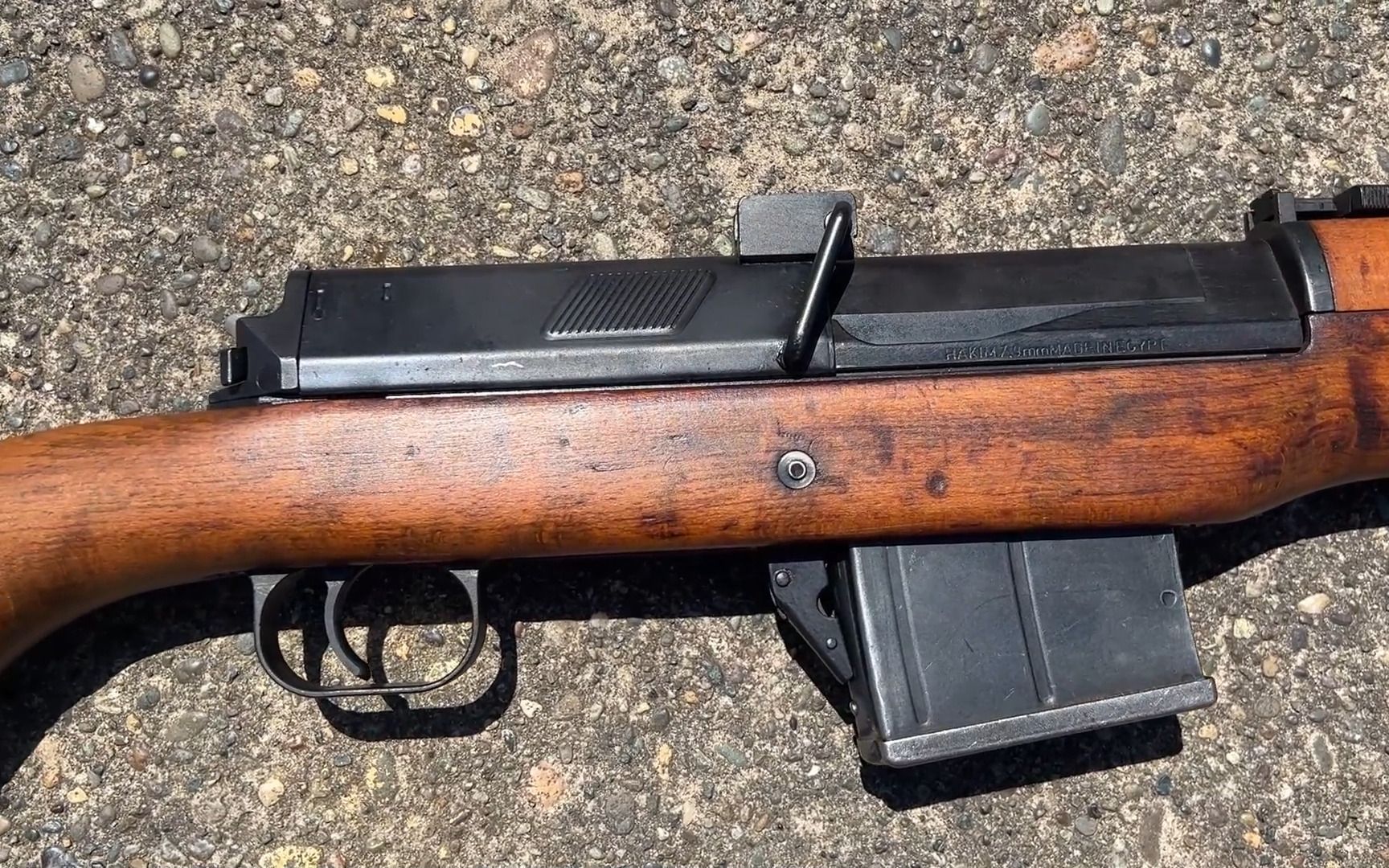 埃及击败强手成功进入射击决赛