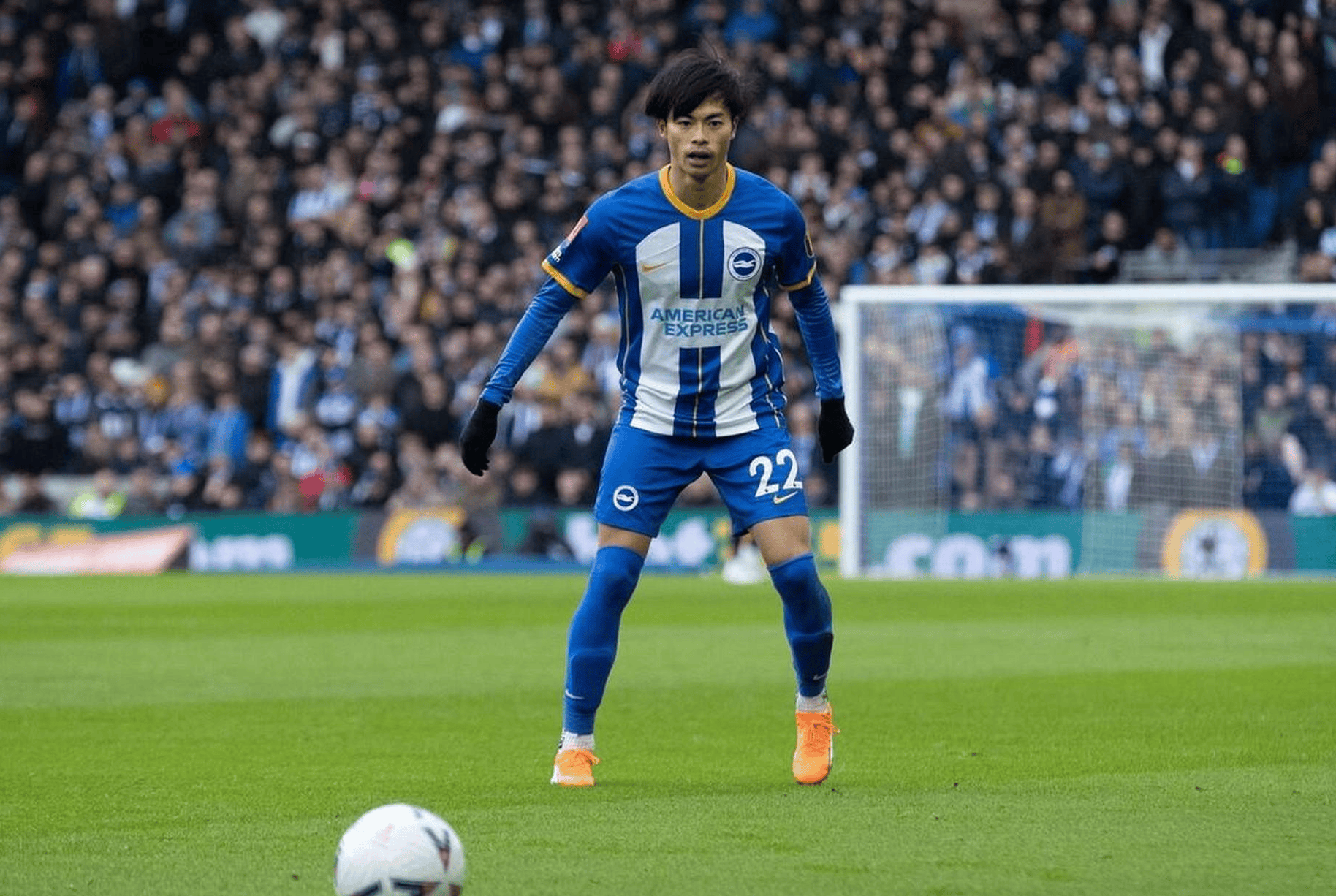 关于布莱顿客场战平纽卡斯尔,遭遇近期不胜的信息 关于布莱顿客场战平纽卡斯尔,遭遇近期不胜的信息